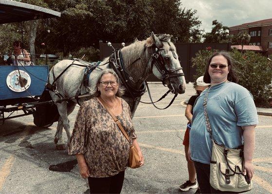 My wife and daughter and Link - our horse