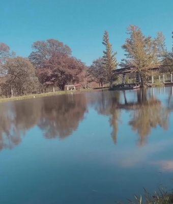 Beautiful pond on property