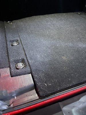 Trunk area with fuzz, hair and loose dirt that can be wiped off.