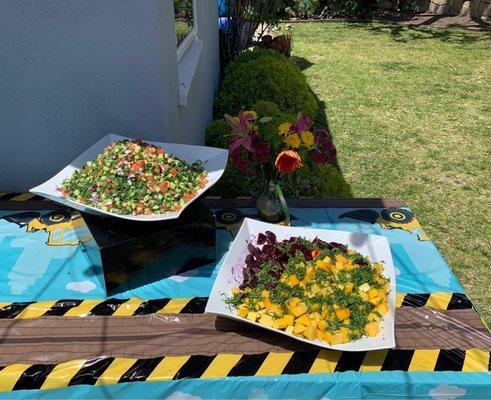 Shirazi Salad ( on top ) Mango& Beet Salad ( bottom)  Both tasty