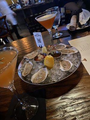 Daily Selections of Oysters with our drinks winter and sunset