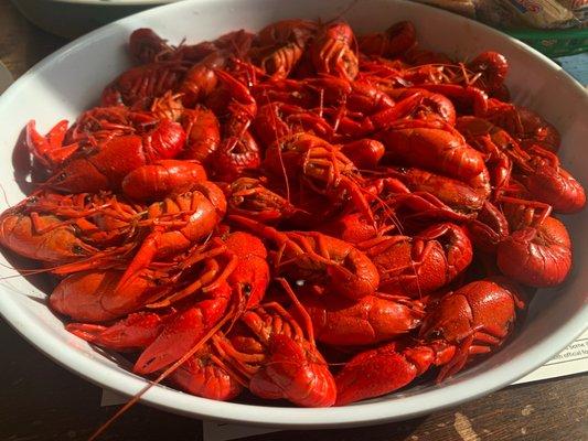 Crawfish