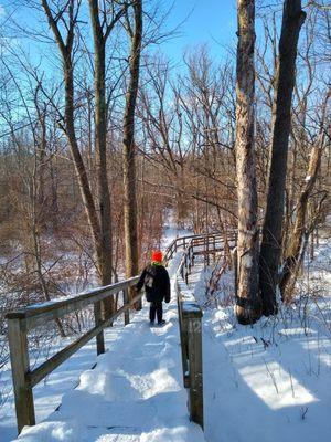 A sunny 19-degrees for today's winter wonderland walk with my mini-man-me. #Buffalove