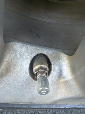 "NEW" valve stems