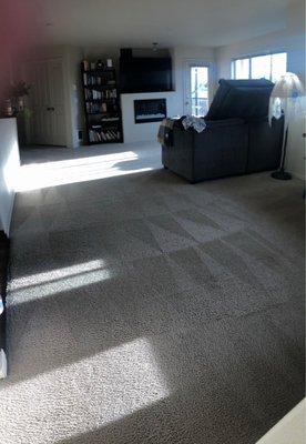 Dago Best Carpet Cleaning