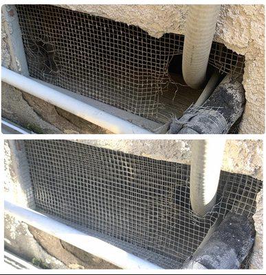 Rodent entry point thru a sub area vent. 
Very common with a/c lines.