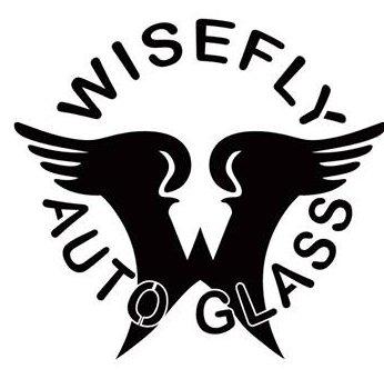 2018 Auto Glass Technician World Champion. Wisefly Auto Glass, Jason R. Martin.