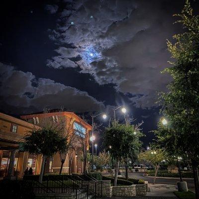 The store at night