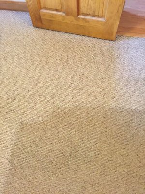 Breen Carpet Cleaning & Maintenance