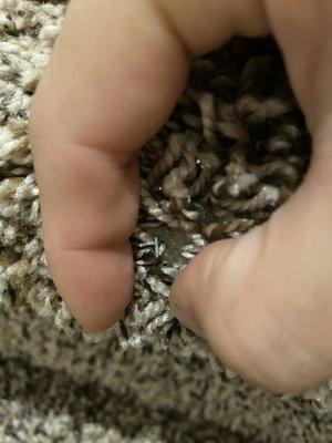 Neddle sharp nails on front of stairs