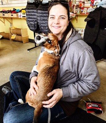 Our employee, Bonnie, helping a dog find the right harness.