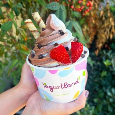 Custom Frozen Yogurt Creation - Chocolate and Vanilla Swirl