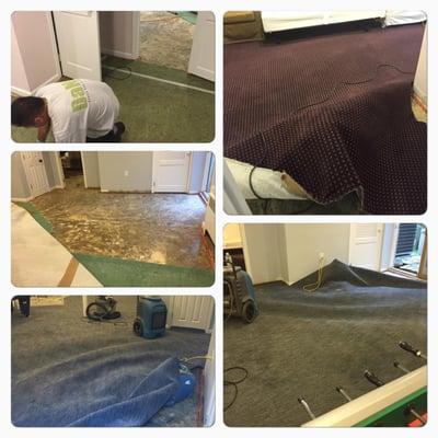 Saving a carpet from a Clean Water Damage. Water extraction, padding removal, and using Dehumidifiers and air movers to dry c...