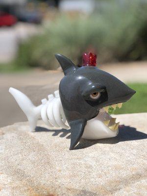 Niko cray shark!