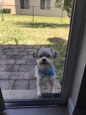 Potty break! Handsome little fella :-)