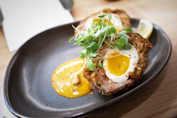 scotch egg ("Scotch Tamago")