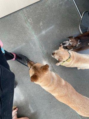 Our girls at their new patient visit