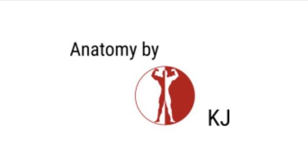 Anatomy by KJ