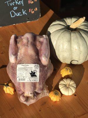 Pasture Raised Heritage Turkey - whole, cuts & sausages