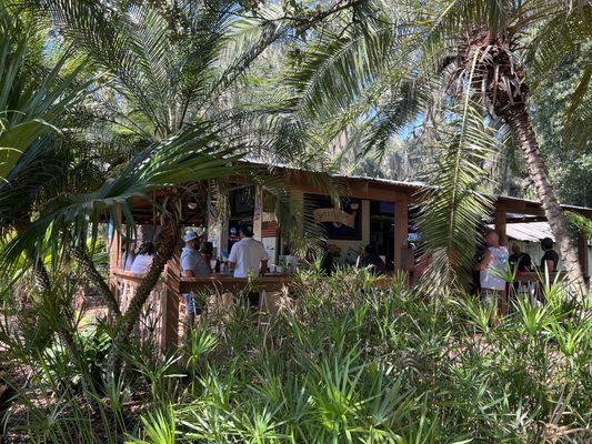 Tiki bar under the palms