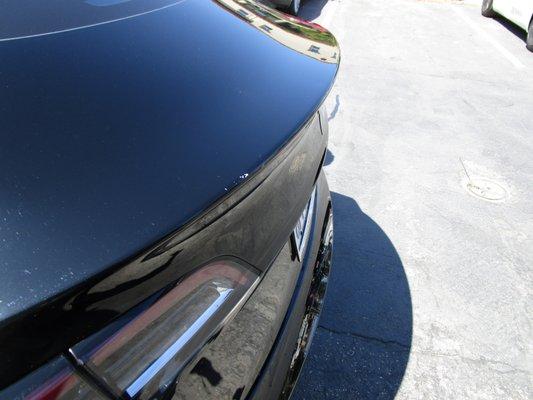 Rear end of my Model 3, visible paint chips on the edge.