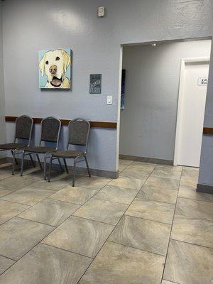 North phoenix animal clinic