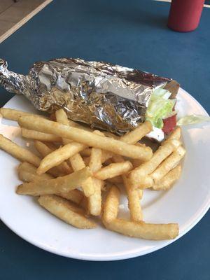 Gyro and Fries