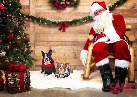 Santa Paws!