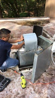 Fan cleaning green products cleaning