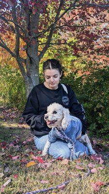 Boston Veterinary Clinic