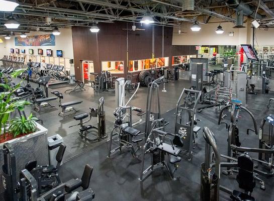 Large gym floor at our Mill Basin location with ample strength, weight and functional training equipment.