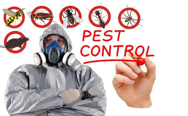 Westex Pest Management