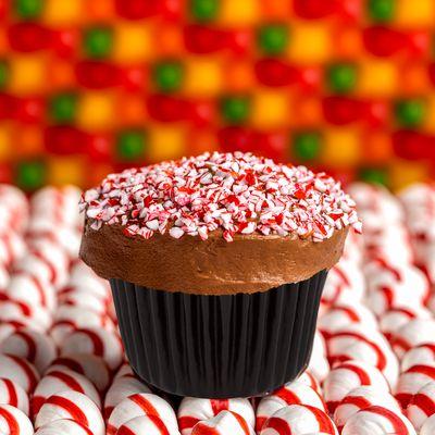 Belgian dark chocolate cake topped with bittersweet chocolate-peppermint frosting