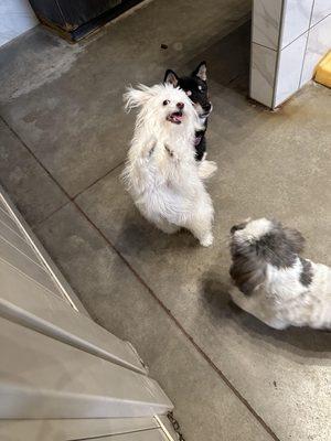 Francesca at daycare