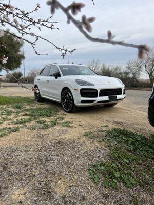 Bought this turbo top of the line cayenne a year ago