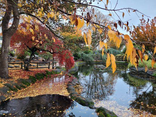 Kaibara Park