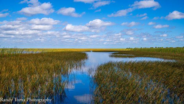 Everglades