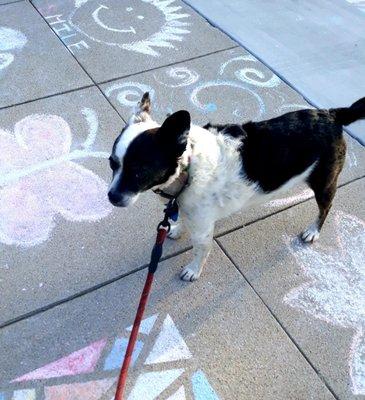 Heyz, gimme s'more chalk, was just gettin' started!