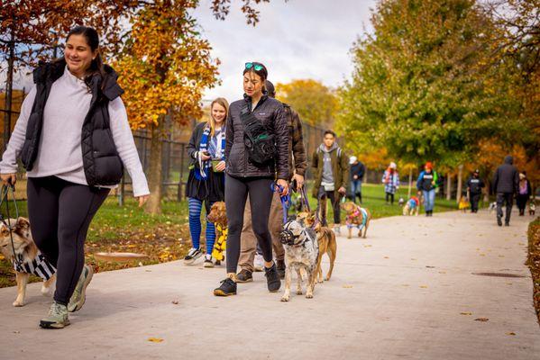 Pack Walk time!