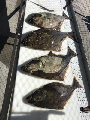 Another Limit
 Ufishboatrentals.com