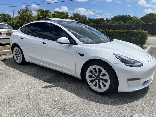 Tesla Model 3 Tinted