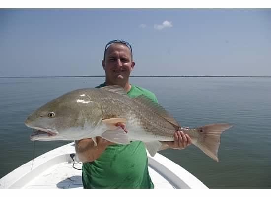 Big Redfish!