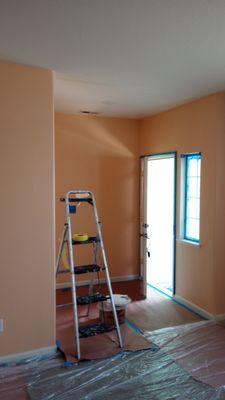 Pro Painting Handyman and Home Service