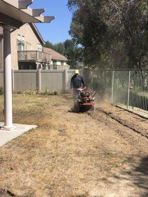 Tilling the back yard