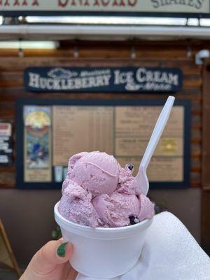 This was "two scoops" of huckleberry ice cream in a cup, for just $5.50! It was massive