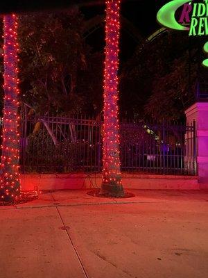 Palm Trees all lit up @ Holiday in the Park @ Six Flags Magic Mountain in Valencia Christmas 2020