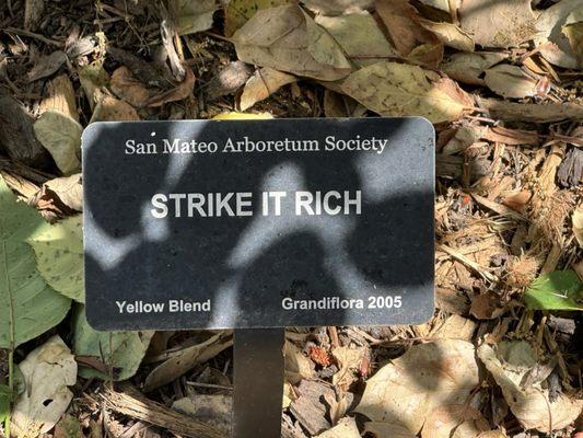 San Mateo Arboretum Society