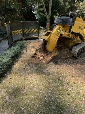 Removing stump