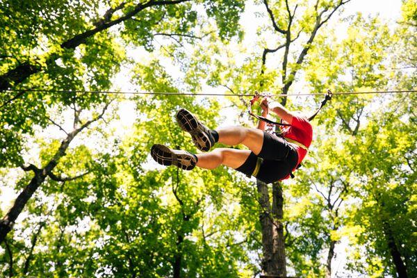 Wander through PA's biggest TreeTops Adventure course on this 3-hour, 3-level course.