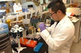 Medical Laboratory Technician and Medical Laboratory Scientist degree programs